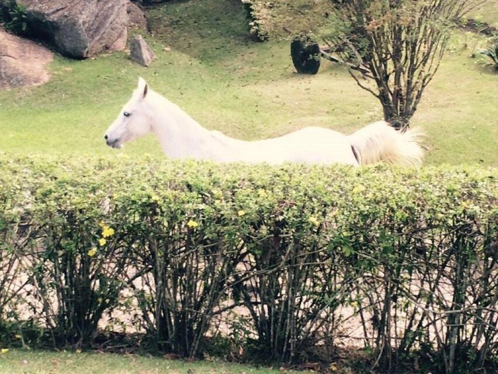 Fazenda Carpas Douradas Villa São Roque Eksteriør bilde